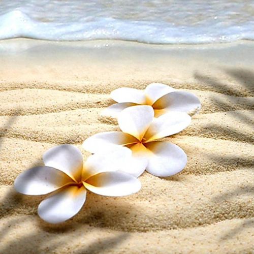Fondants parfumés Monoï – Senteurs exotiques et solaires artisanales