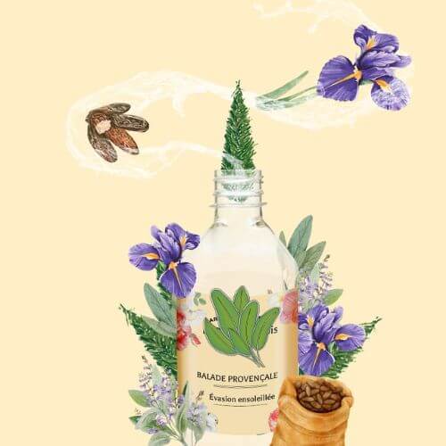 Évadez-vous au cœur de la Provence