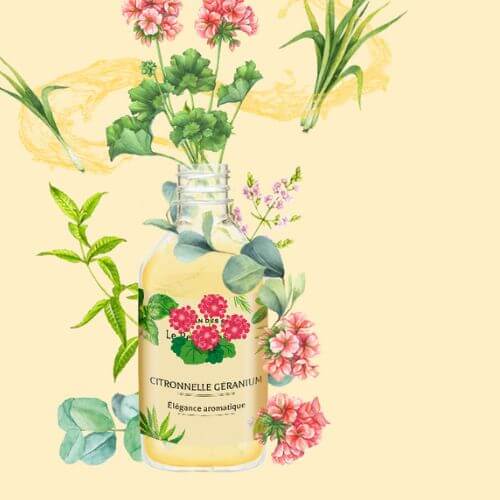 Fondant Citronnelle géranium