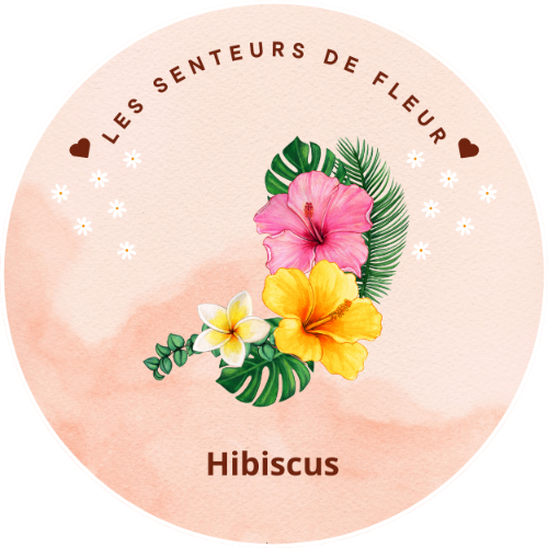 Fondant parfumé Hibiscus design featuring vibrant hibiscus flowers and tropical foliage on a pastel background.