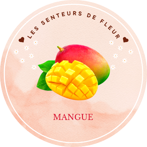 Fondant parfumé Mangue- Exotique Parfum fruité