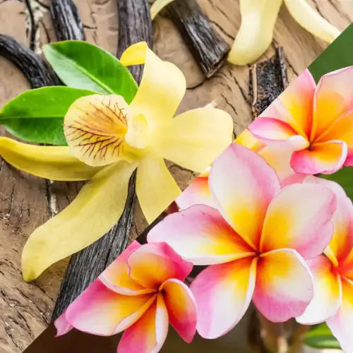 Fondants parfumés Monoï Vanillé Floral et Sucré, fabriqué artisanalement