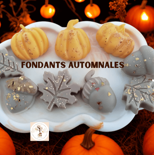 Fondants parfumés aux senteurs d’automne artisanaux en cire végétale