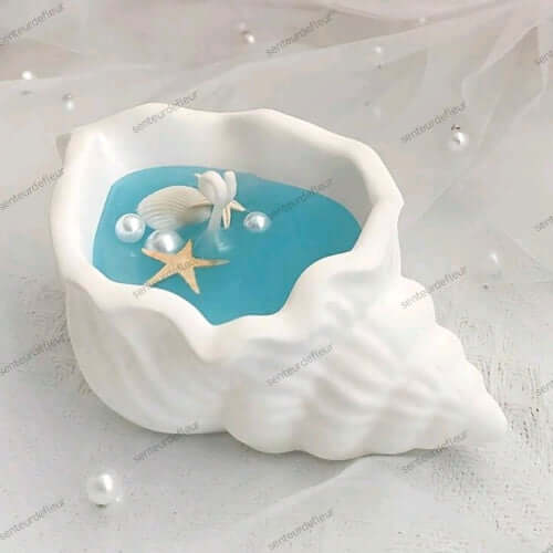 Un écrin minéral unique pour une bougie artisanale d’exception. Chaque coquillage minéral est sélectionné pour sa beauté naturelle et sa solidité, sublimé par une cire végétale et un parfum délicat.
