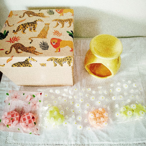 Un assortiment de fondants en cire végétale pour une diffusion subtile et naturelle des parfums.