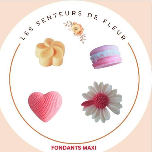 Fondants parfumés maxi sous différente forme