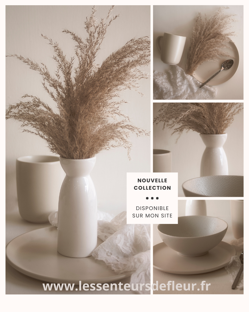 Collection Nouveautés