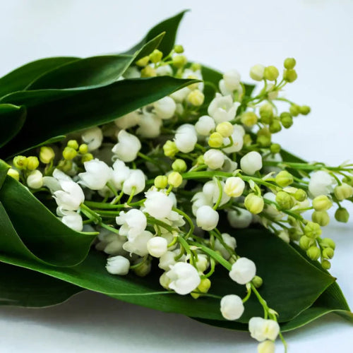 Fondants artisanaux senteur muguet posés sur fond naturel