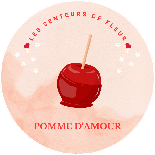 Image d'un fondant parfumé "Les Senteurs de Fleur" à la senteur pomme d'amour, représentant une pomme rouge brillante avec un bâtonnet en bois.