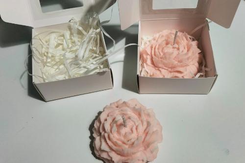 Fleur parfumée délicate, idéale pour parfumer et embellir votre intérieur