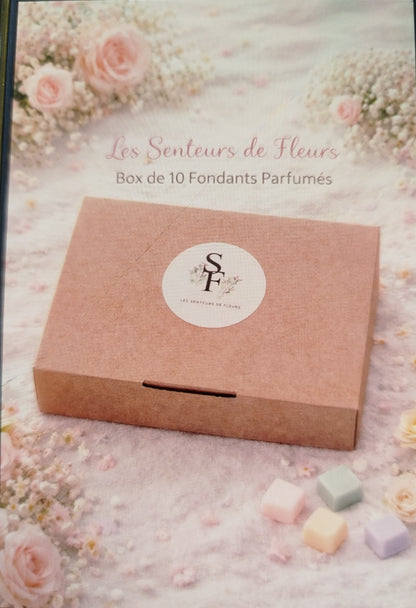 LOT DE 10 FONDANTS PARFUMES AUX SENTEURS VARIEES